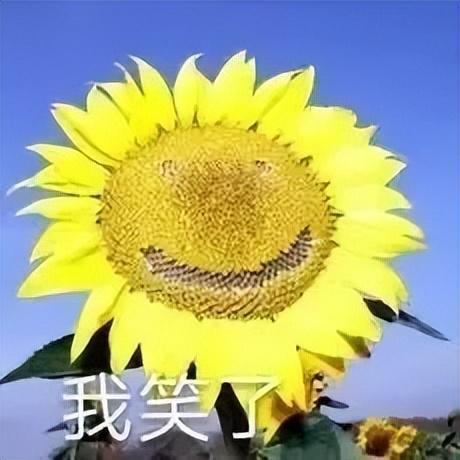 穿深V女装走光的他是真疯了还是向家缺钱了PG电子麻将胡了2试玩向佐怎么癫成这样？(图12)